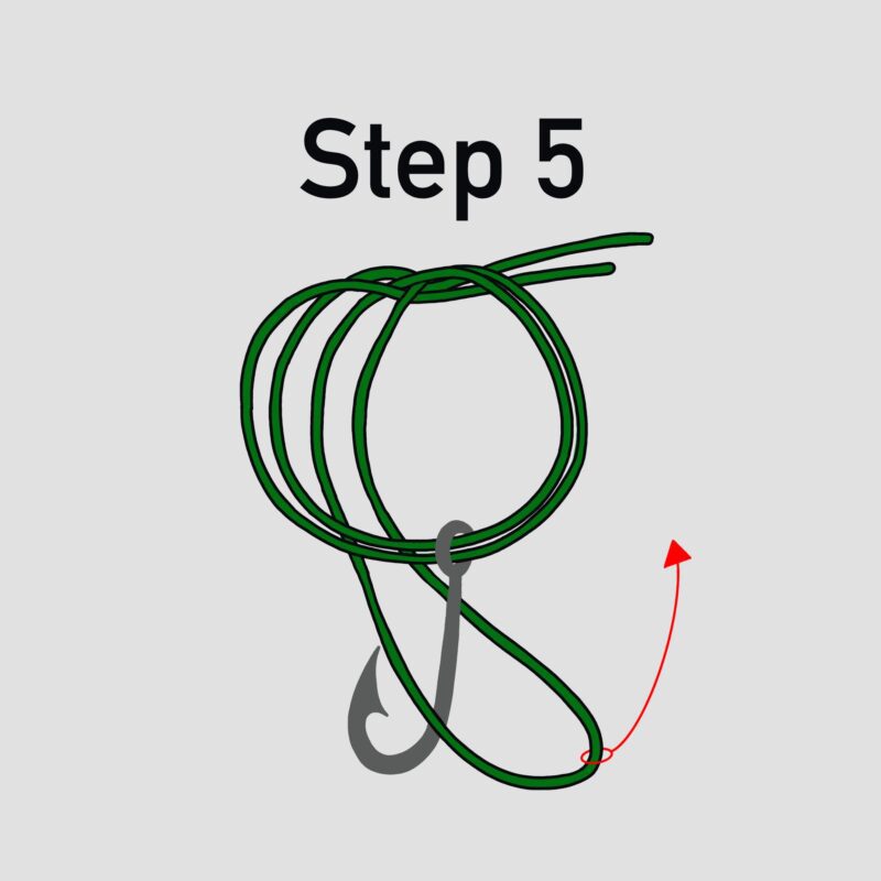 Image of Step 5 of tying a Palomar knot. Bring the loop up around the hook, allowing the hook to fall inside the loop.