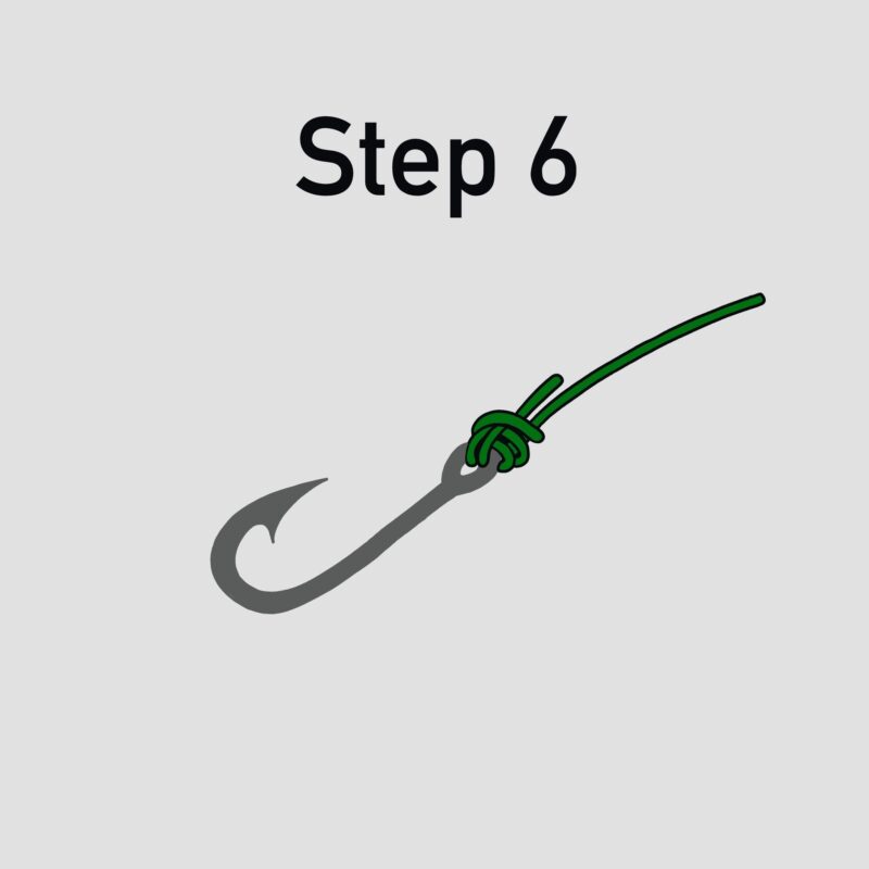 Image of Step 6 of tying a Palomar knot. Double-check that you’ve secured your completed Palomar Knot to the eye, not to the shank of the hook.