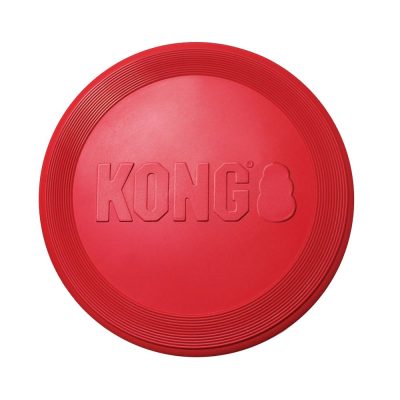 kong duets tug and squeak