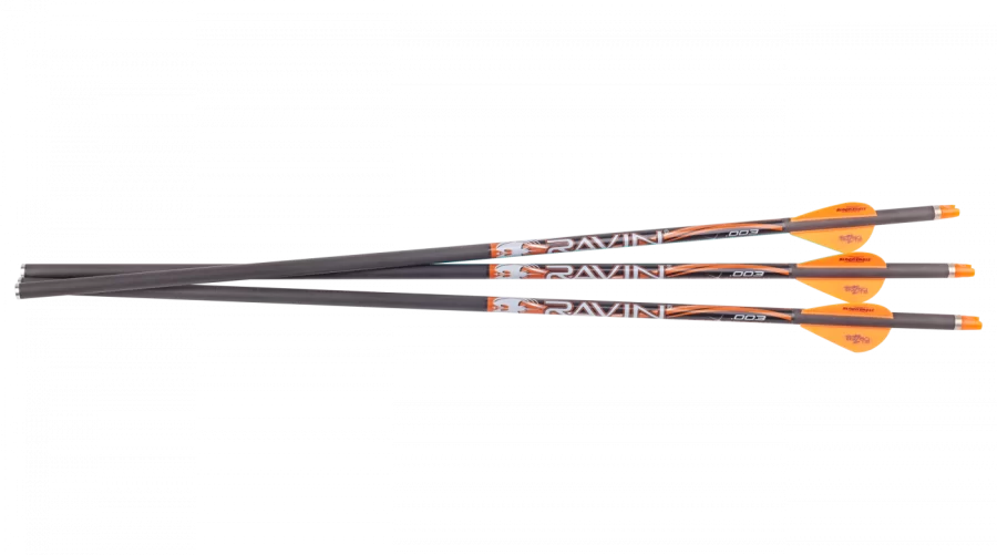 Ravin Lighted Arrows