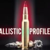 WINCHESTER COPPER IMPACT 270 WSM
