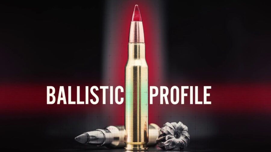 WINCHESTER COPPER IMPACT 270 WSM