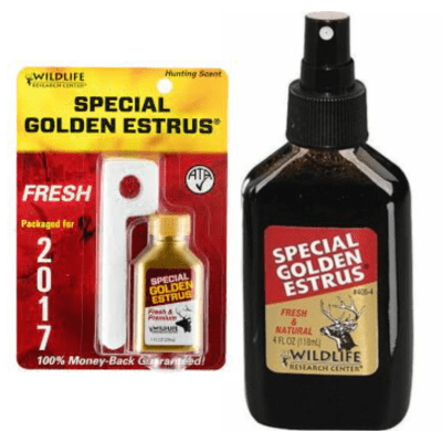 Wildlife Research Special Golden Estrus