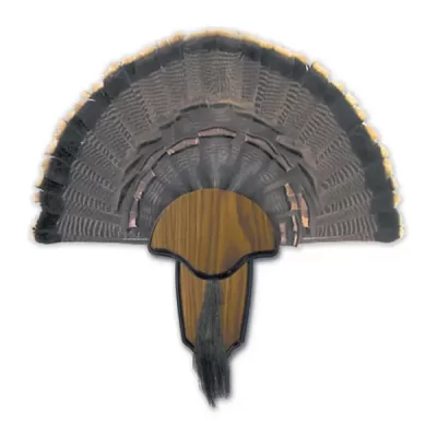 Turkey Tail and Beard Mounting Kit