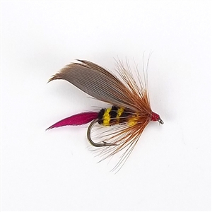 Gapens Weighted Wet Fly