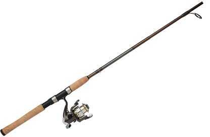 10 Best Mitchell Fishing Rod And Reel Combos 2024