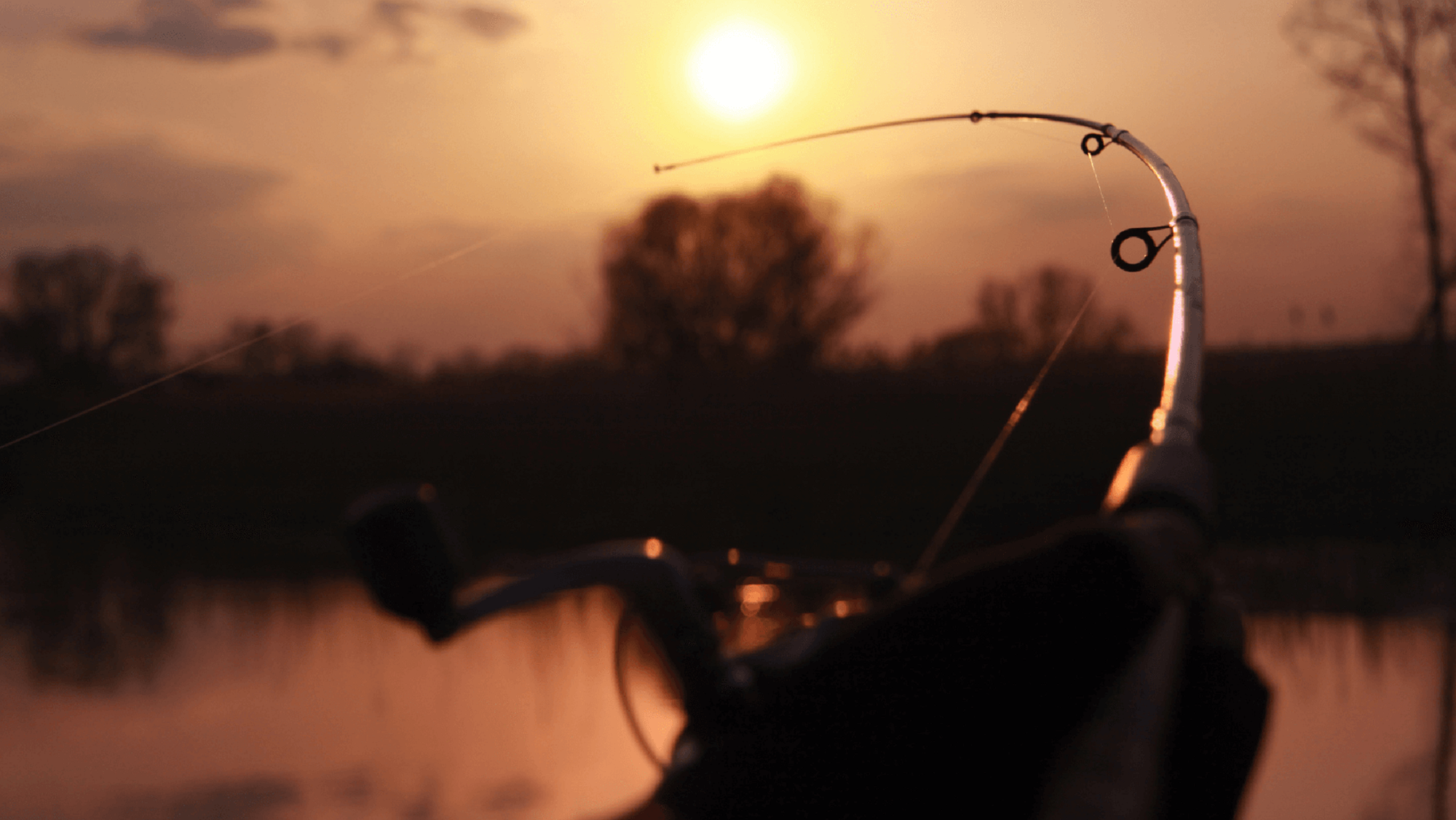 Close-up of a curled fishing rod on a lake at sunset