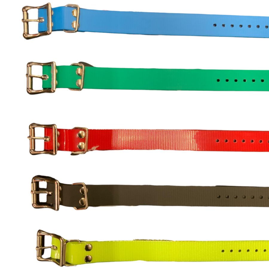 SportDog 1" Collar Strap