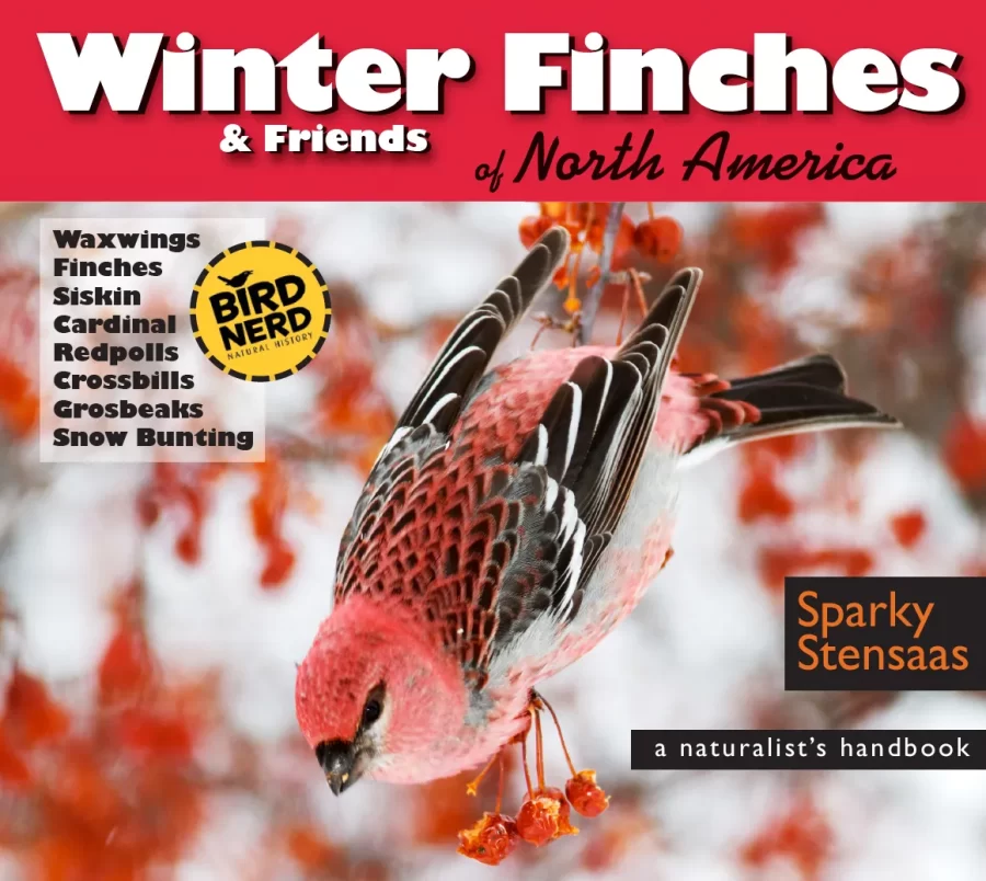 Winter-Finches-