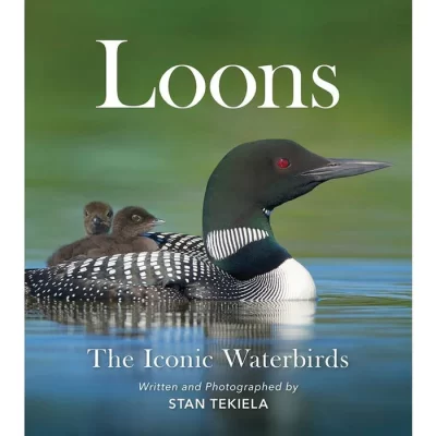 Loons: The Iconic Waterbirds