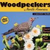 WOODPECKERS OF NORTH AMERICA