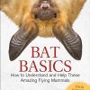 Bat Basics: How to Understand and Help These Amazing Flying Mammals