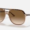 RAY-BAN BILL HAVANA ON TRANSPARENT BROWN W/ CLEAR GRADIENT BROWN 12925160