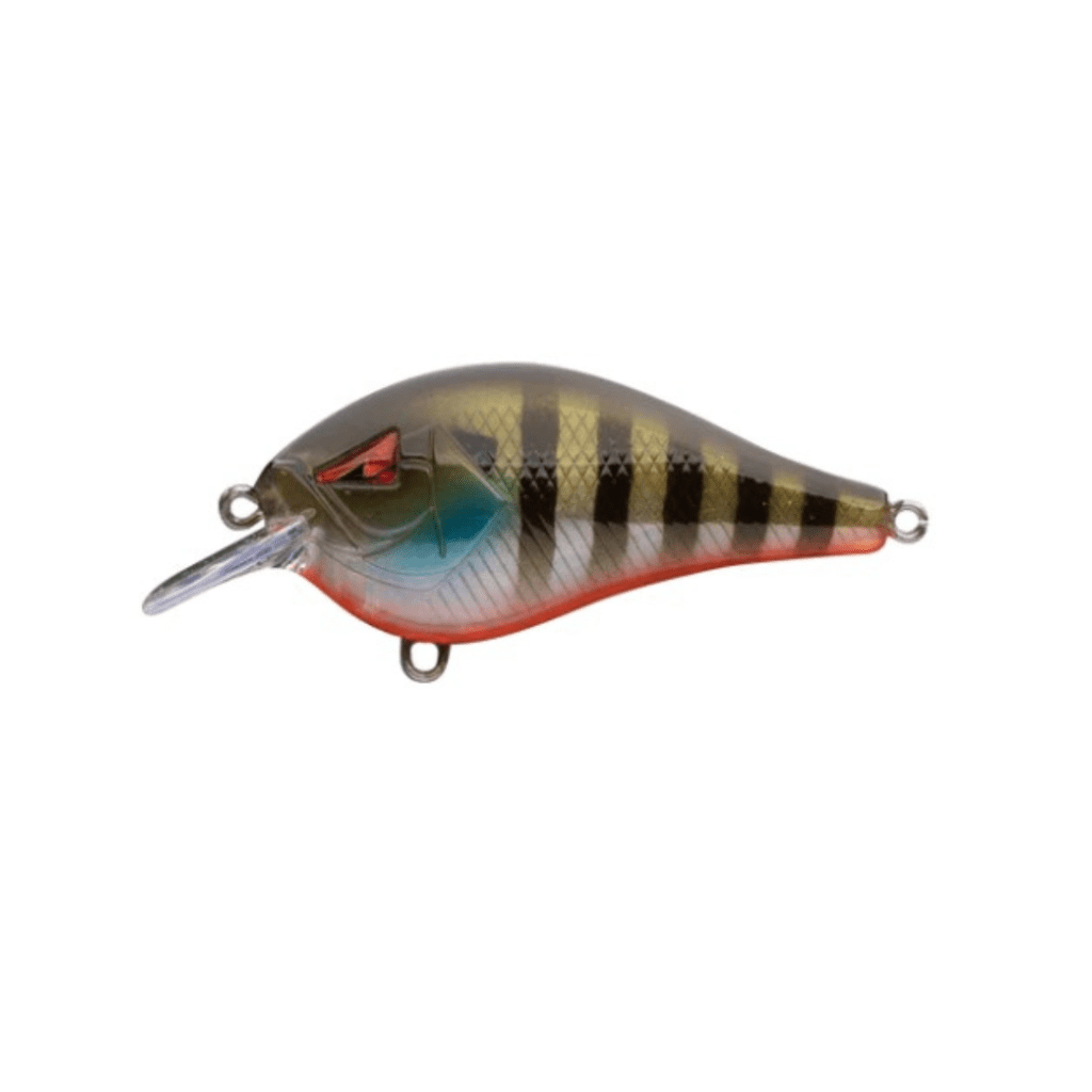 ARK SQUAREBILL CRANKBAIT 17/32OZ SUNGILL CT5-7-02