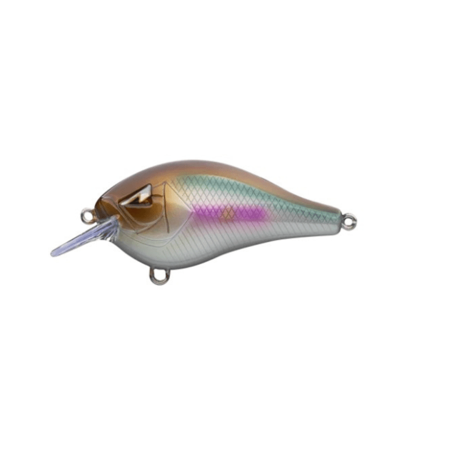 ARK SQUAREBILL CRANKBAIT 3/8OZ SHINER CT3-5-06