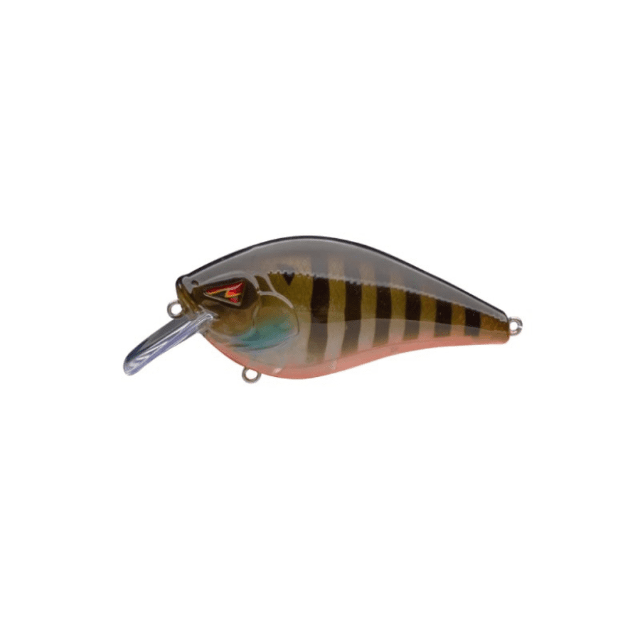 ARK CT2.5 SQUAREBILL CRANKBAIT 5/8OZ SUNGILL CT2.5-02