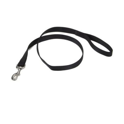 Coastal 6' Nylon Pet Leash